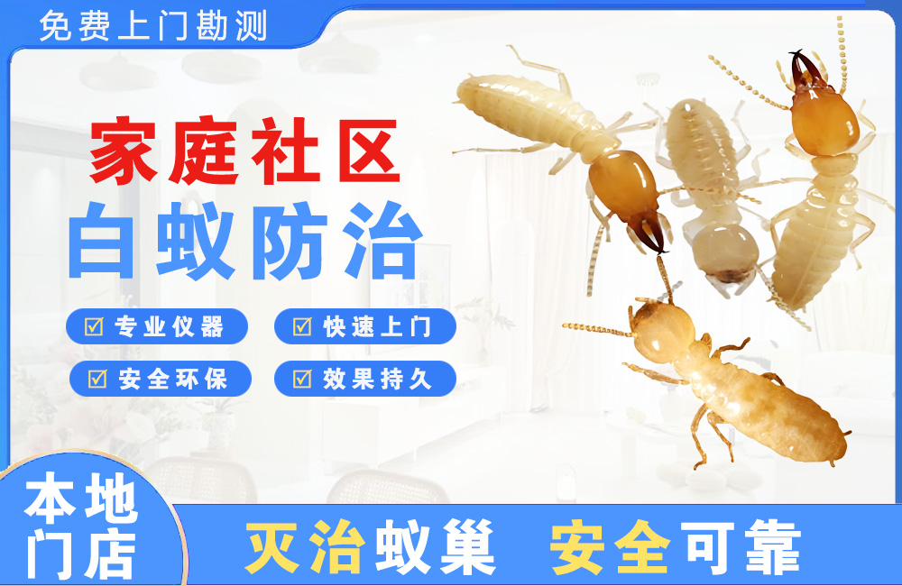 璧山家庭社区白蚁防治