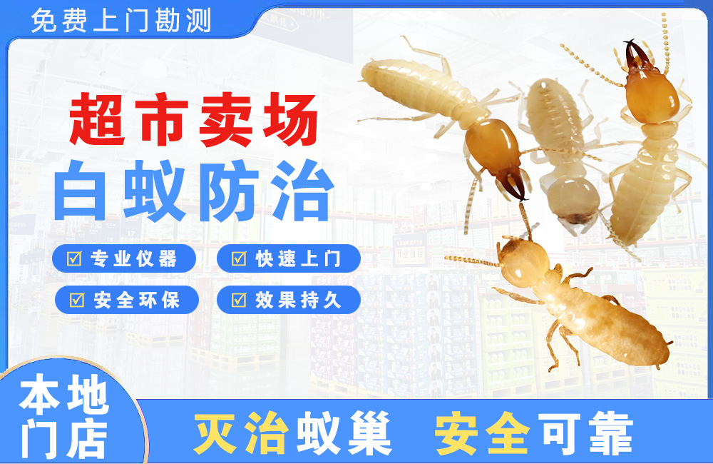璧山超市卖场白蚁防治