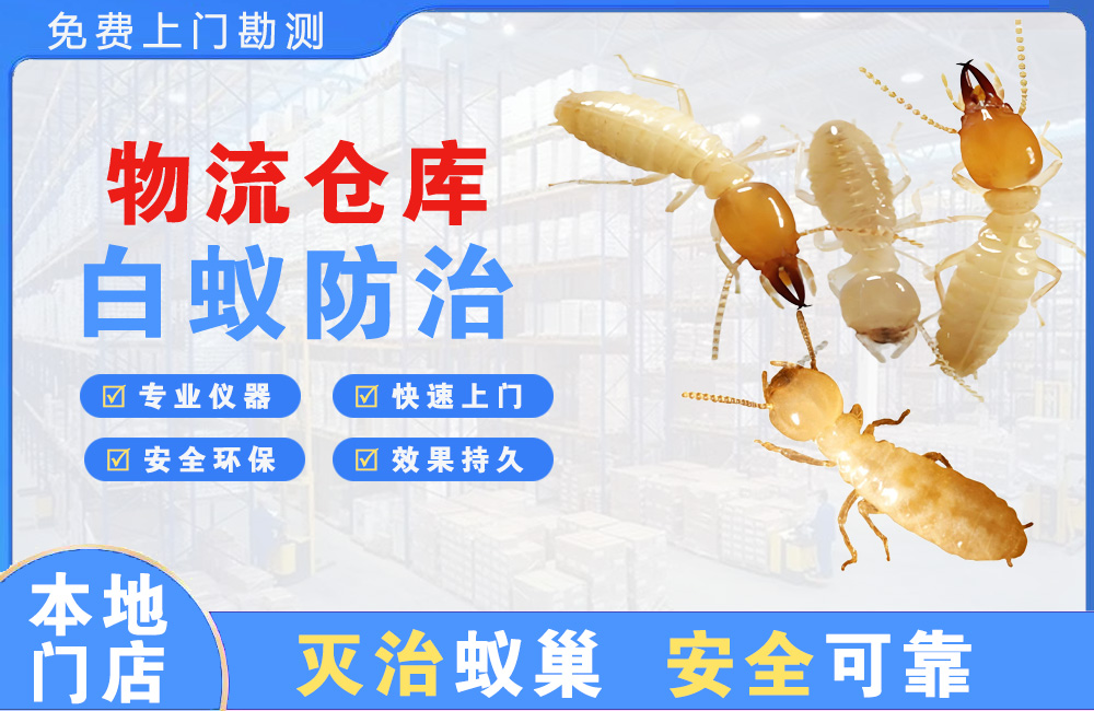 璧山物流仓库白蚁防治