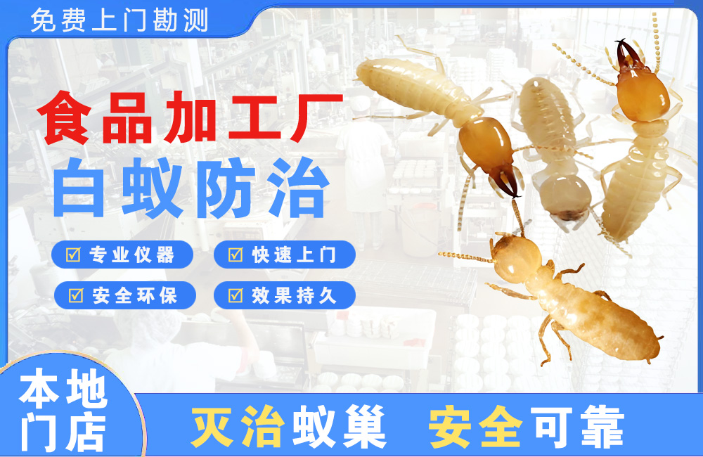 璧山食品加工厂白蚁防治