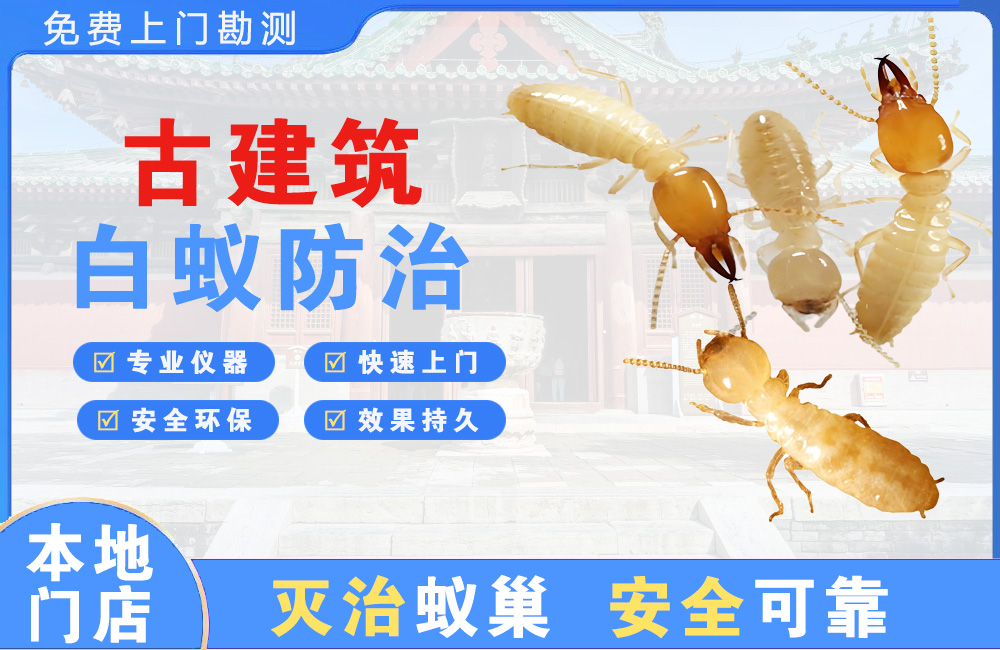 璧山古建筑白蚁防治