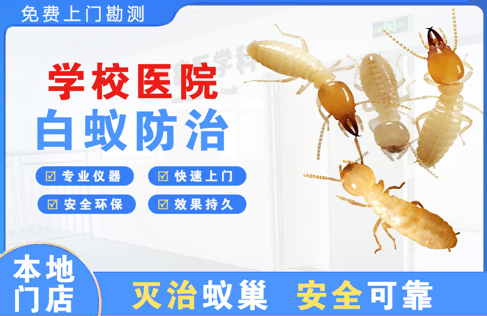 璧山学校医院白蚁防治