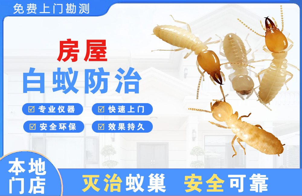 璧山房屋白蚁防治