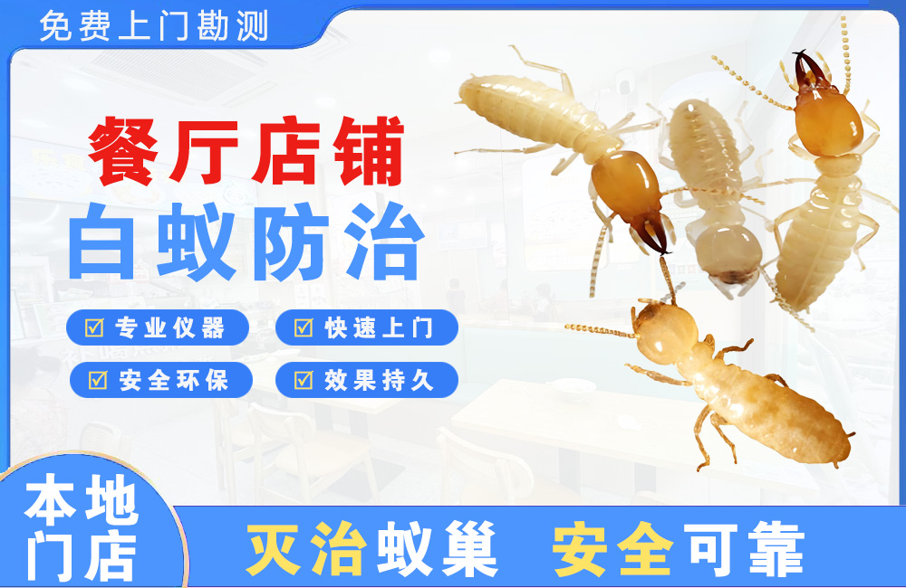 璧山餐厅店铺白蚁防治